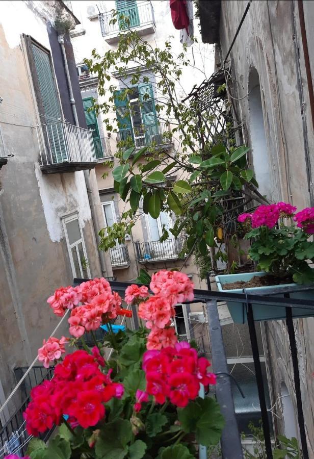 Gelso Home Napoli Esterno foto